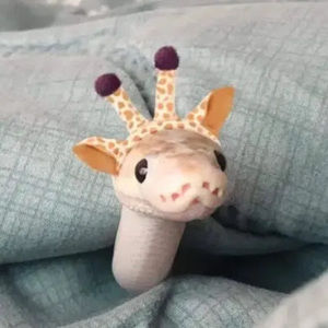 Meet your Posher, Madison